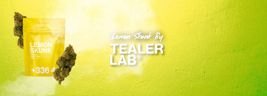 lemon skunk cbd tealerlab