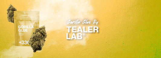 gorilla glue cbd tealerlab
