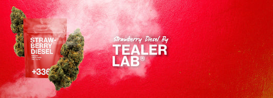 strawberry diesel cbd tealerlab