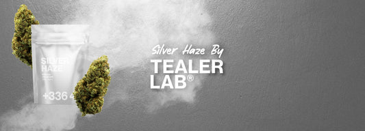 silver haze cbd tealerlab