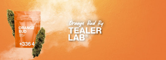 orange bud tealerlab