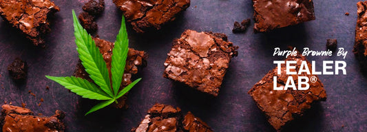 Recette - "Purple Brownie" CBD
