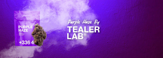 Purple haze cbd tealerlab