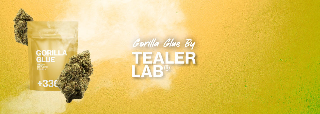 gorilla glue cbd tealerlab