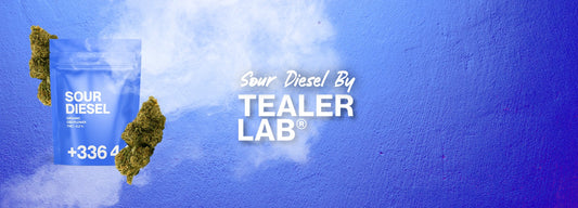 sour diesel cbd tealerlab