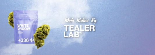 white widow cbd tealerlab